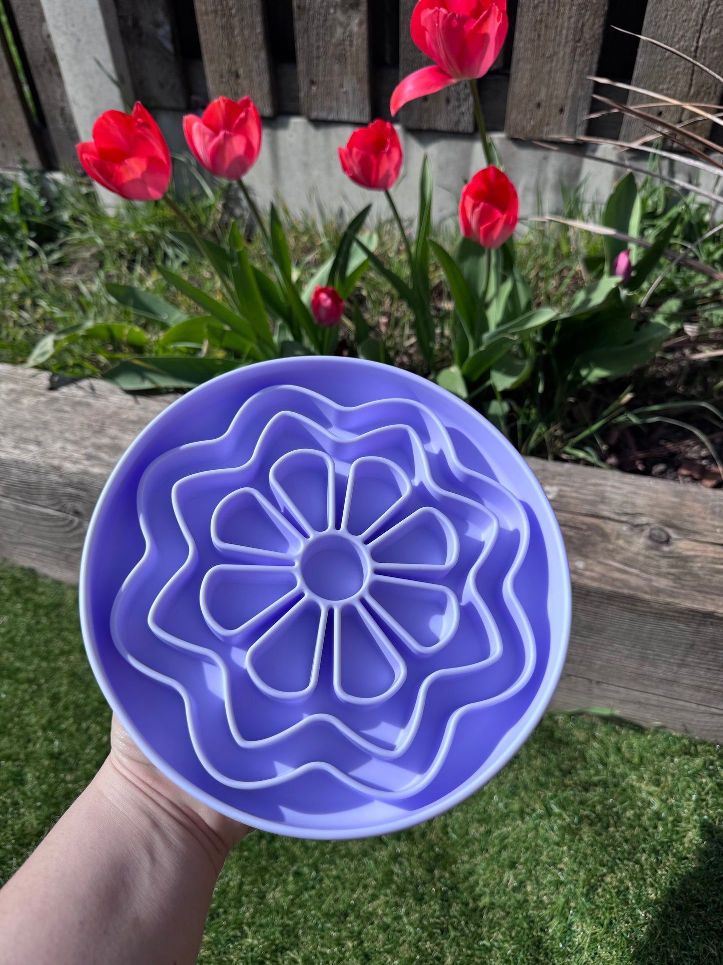 Flower Power Enrichment Bowl (Free Postage)