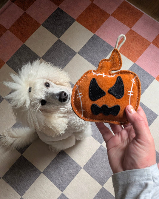 Jack The Lad Lantern (Free Postage)