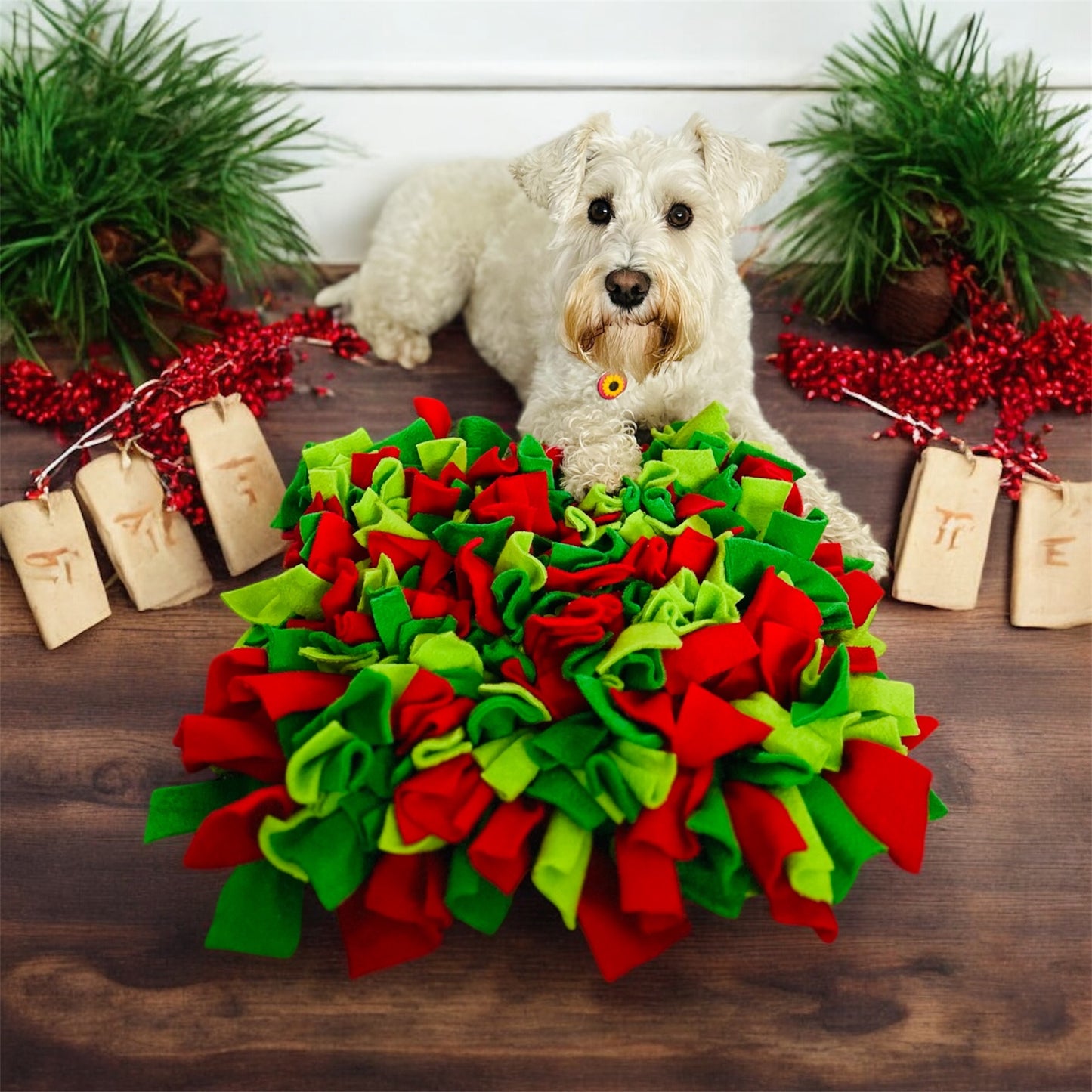 Festive Snuffle Mats (Free Postage)