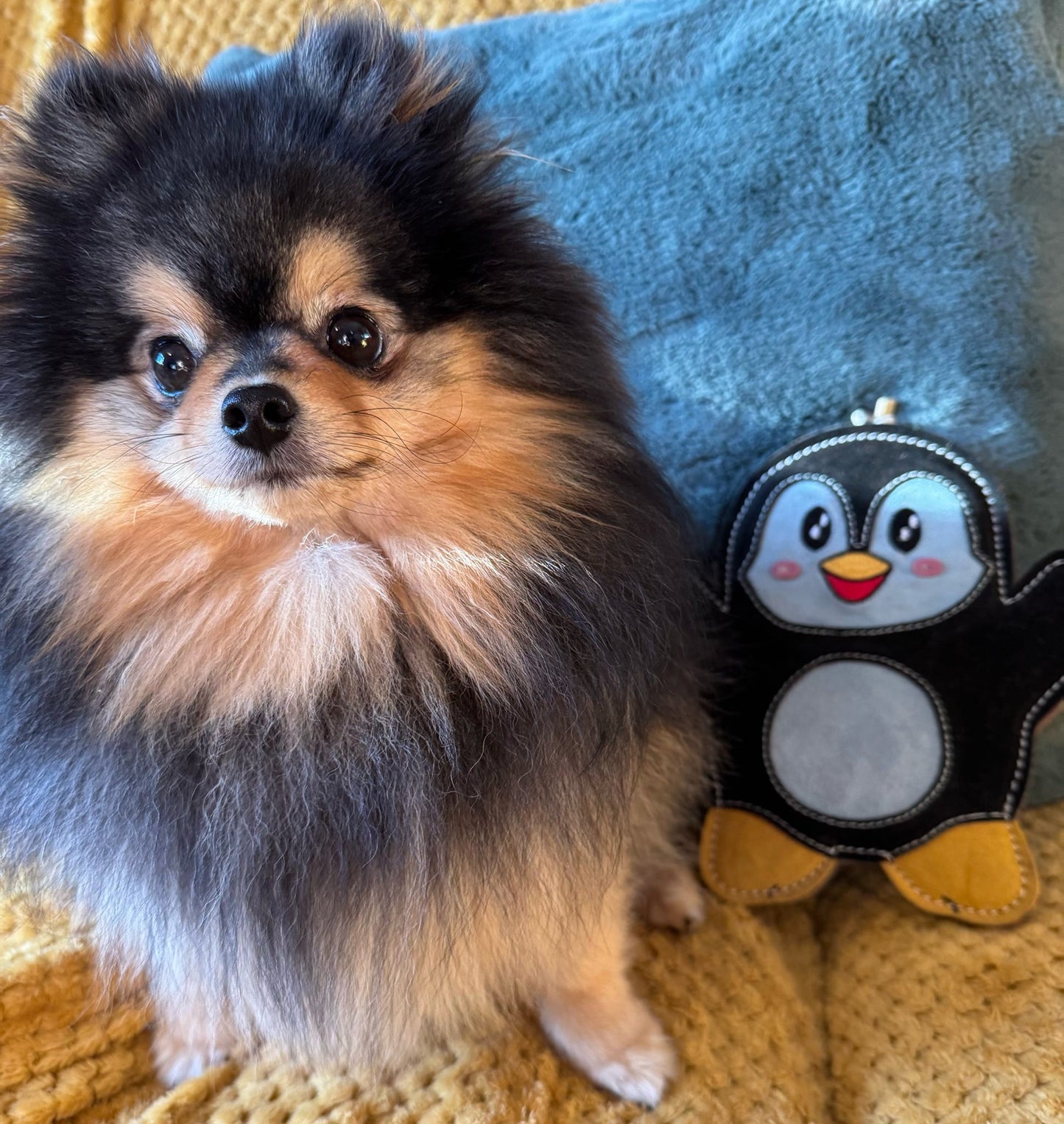 Poppy The Penguin (Free Postage)