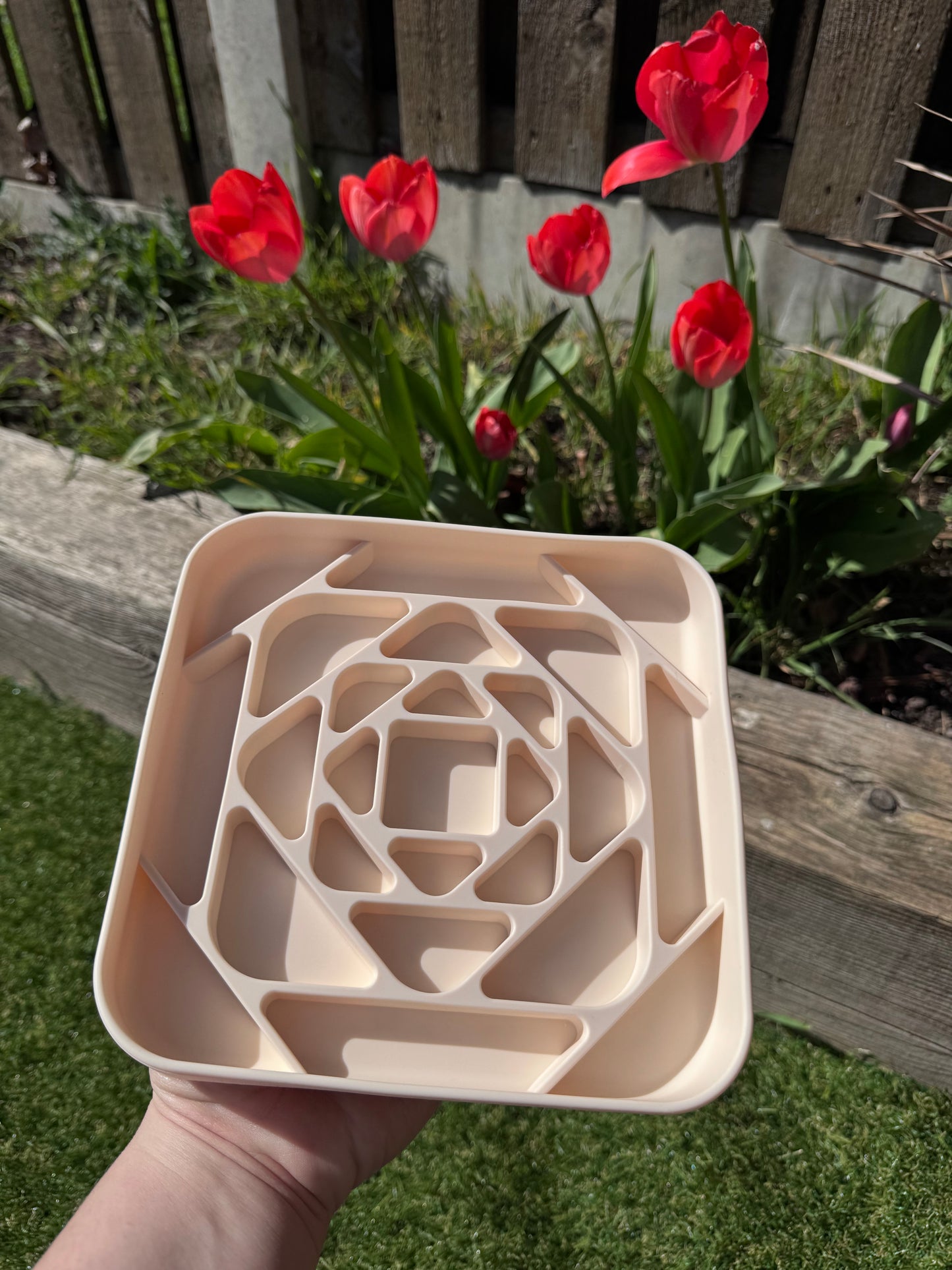 Geometric Enrichment Feeder (Free Postage)