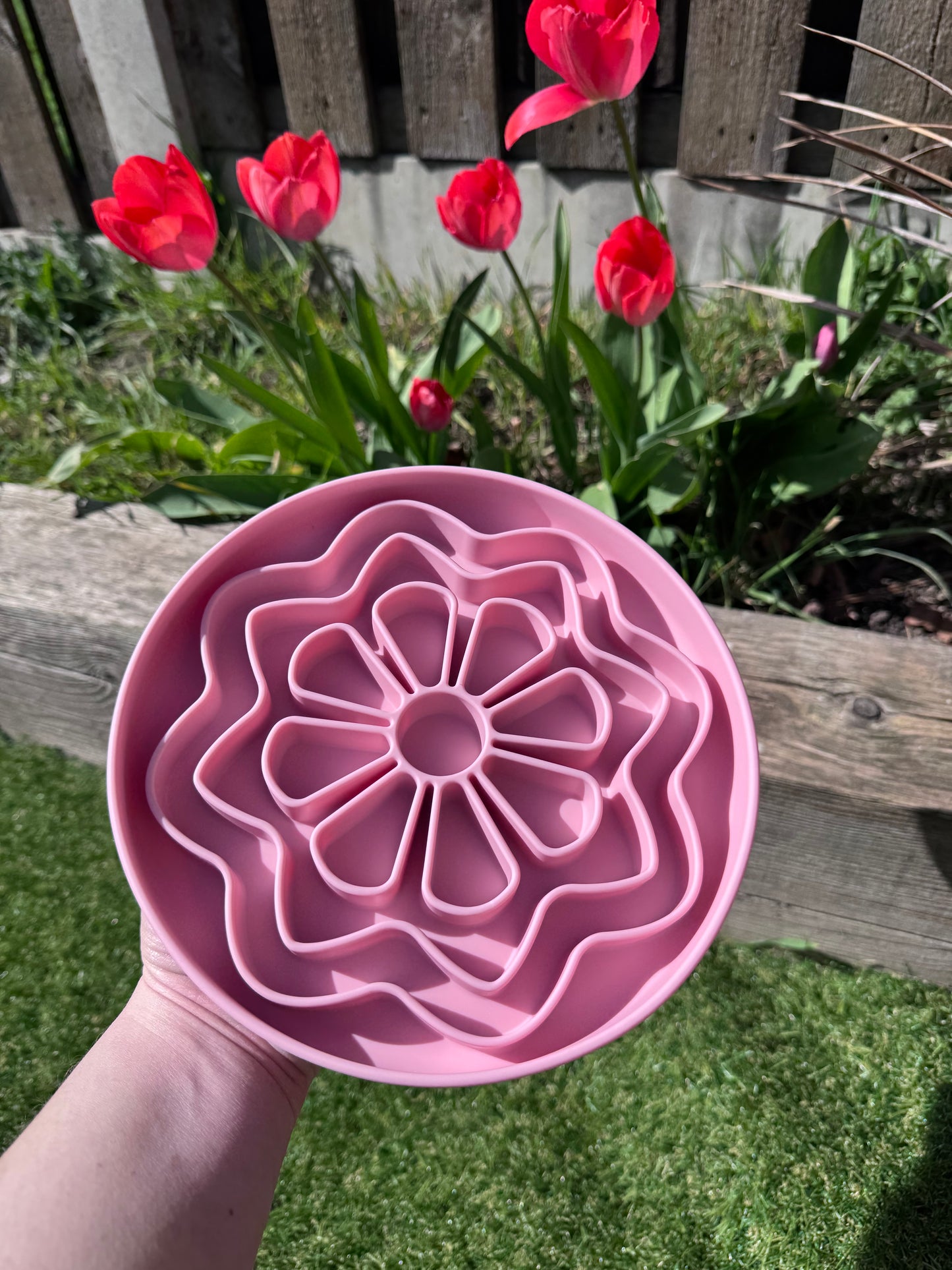 Flower Power Enrichment Bowl (Free Postage)
