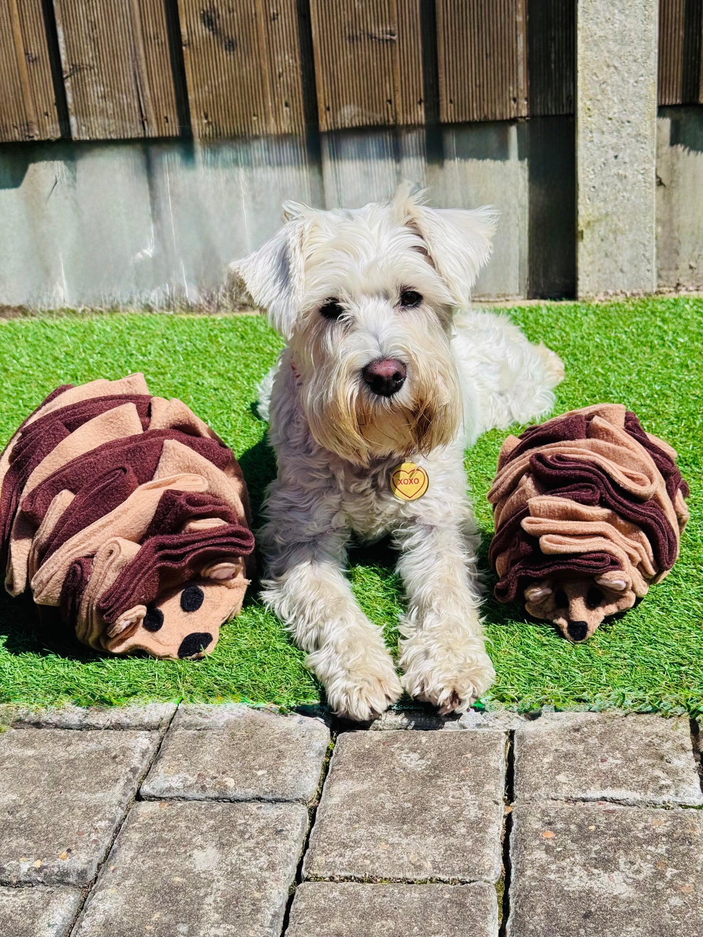 The Snuffle Hog Available In 2 Sizes (Free Postage)