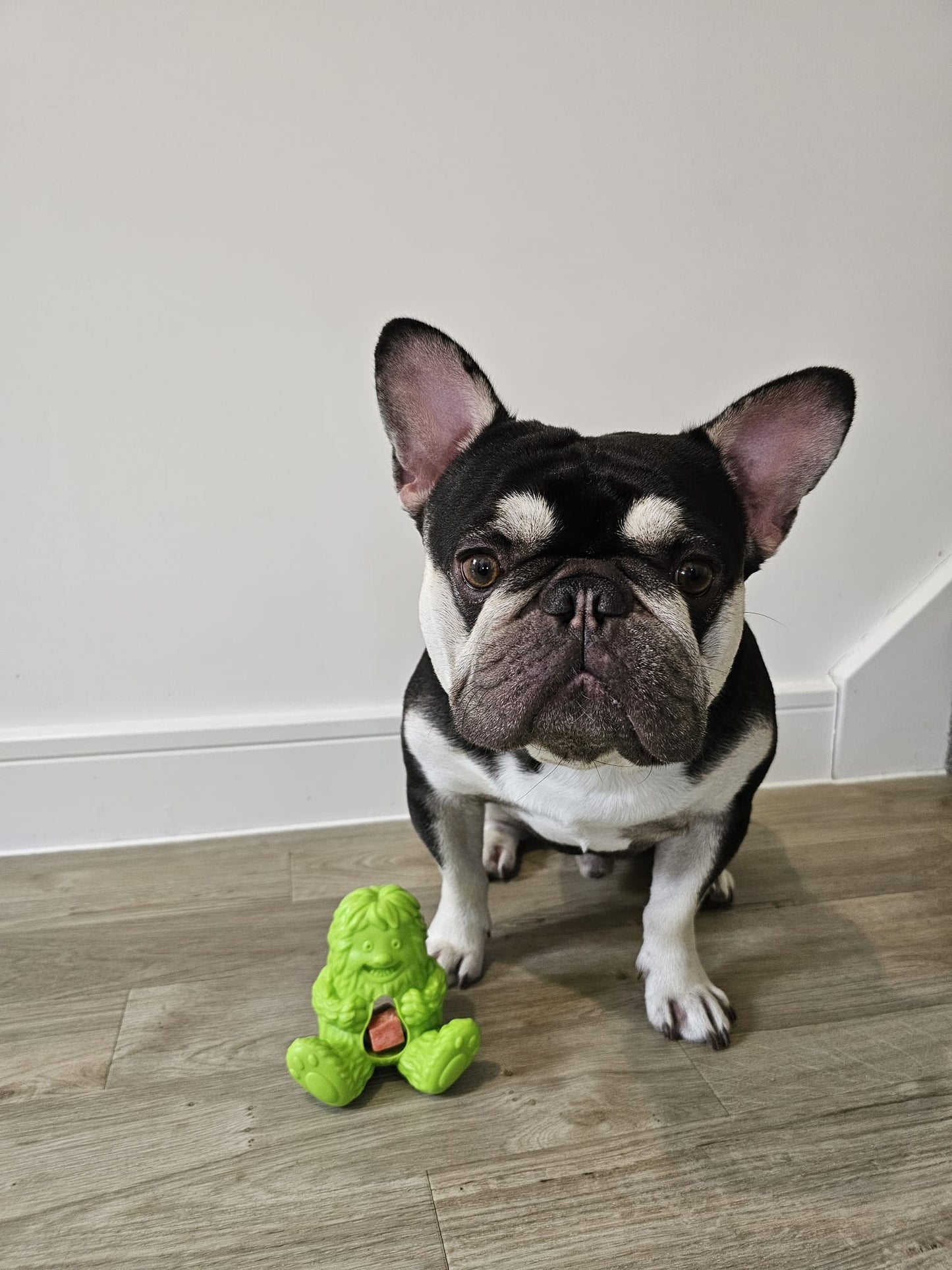 Dogsee Yeti Treat Toy, 3 colours available (Free Postage)