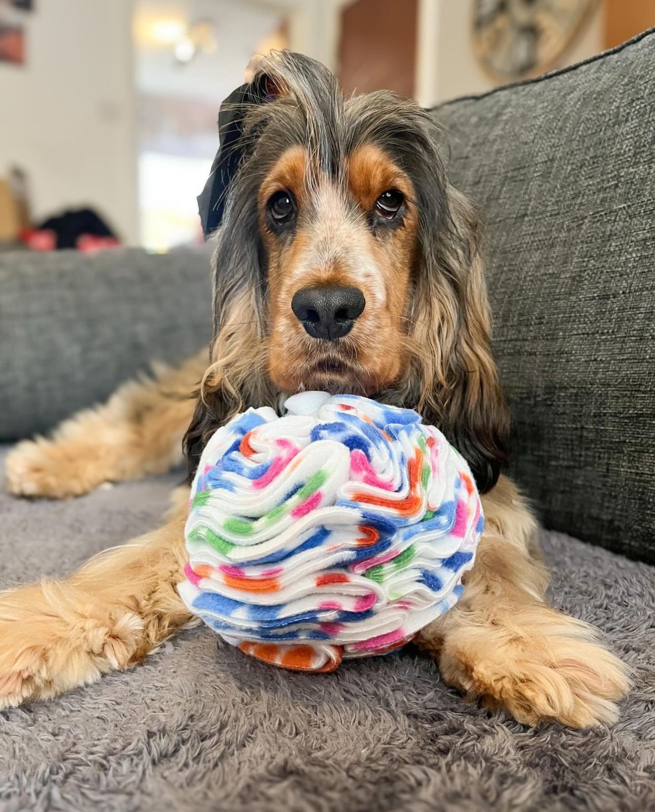 Medium Snuffle Ball (Free Postage)