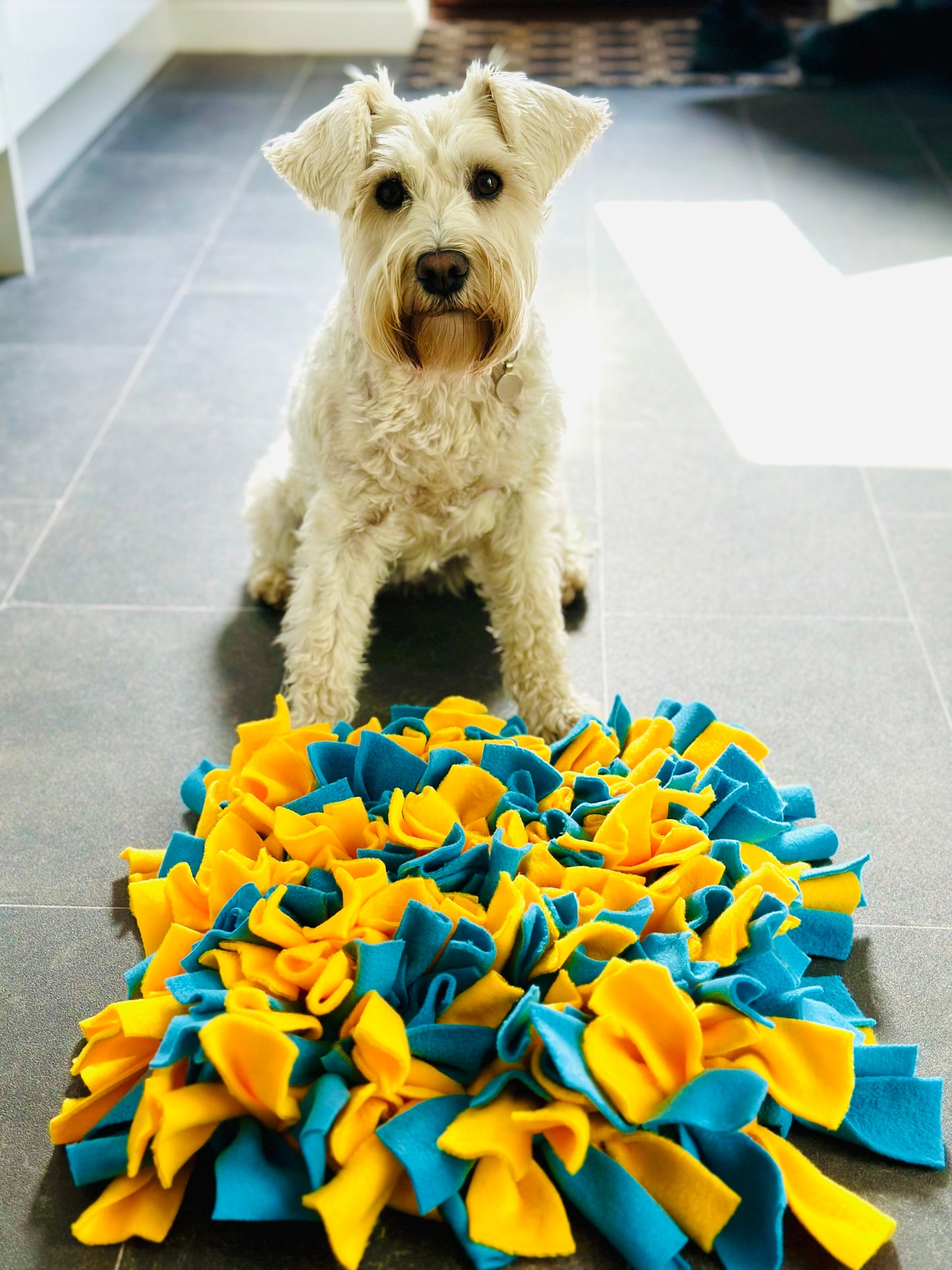 Custom Made Medium Snuffle Mat (Free Postage)