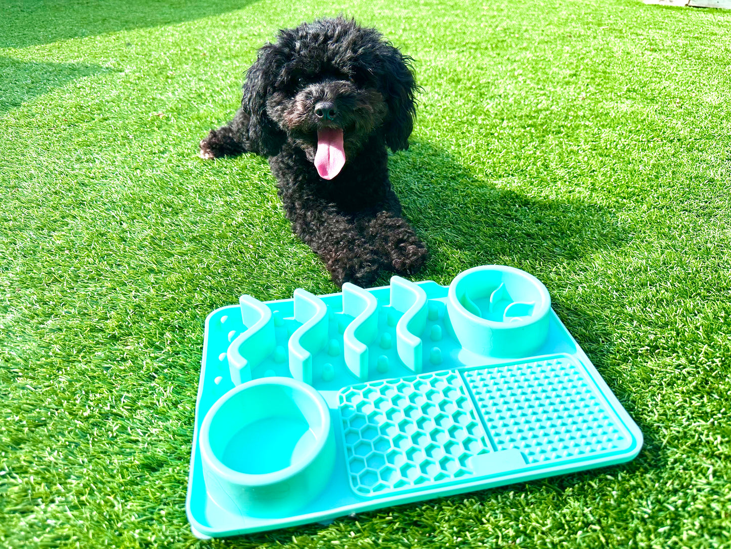 Multifunctional Lick Mat, Available In 2 Sizes (Free Postage)