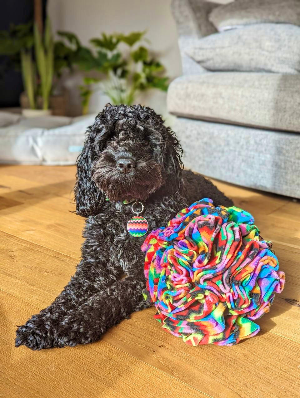 Large Snuffle Ball (Free Postage)