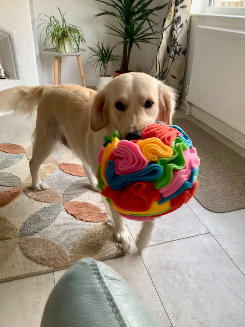 Custom Coloured Snuffle Balls available in 5 sizes (Free Postage)