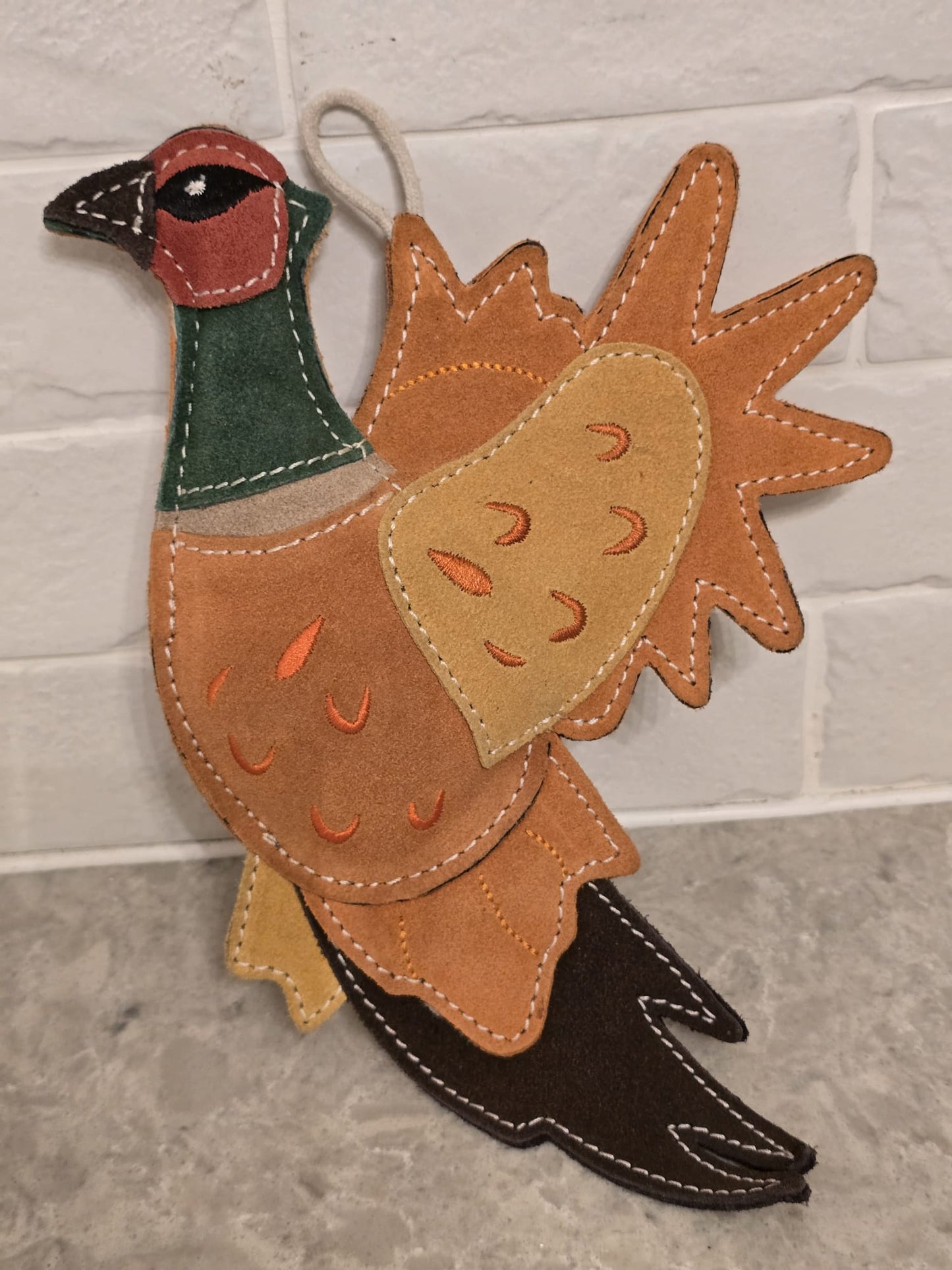 Bracken The Pheasant