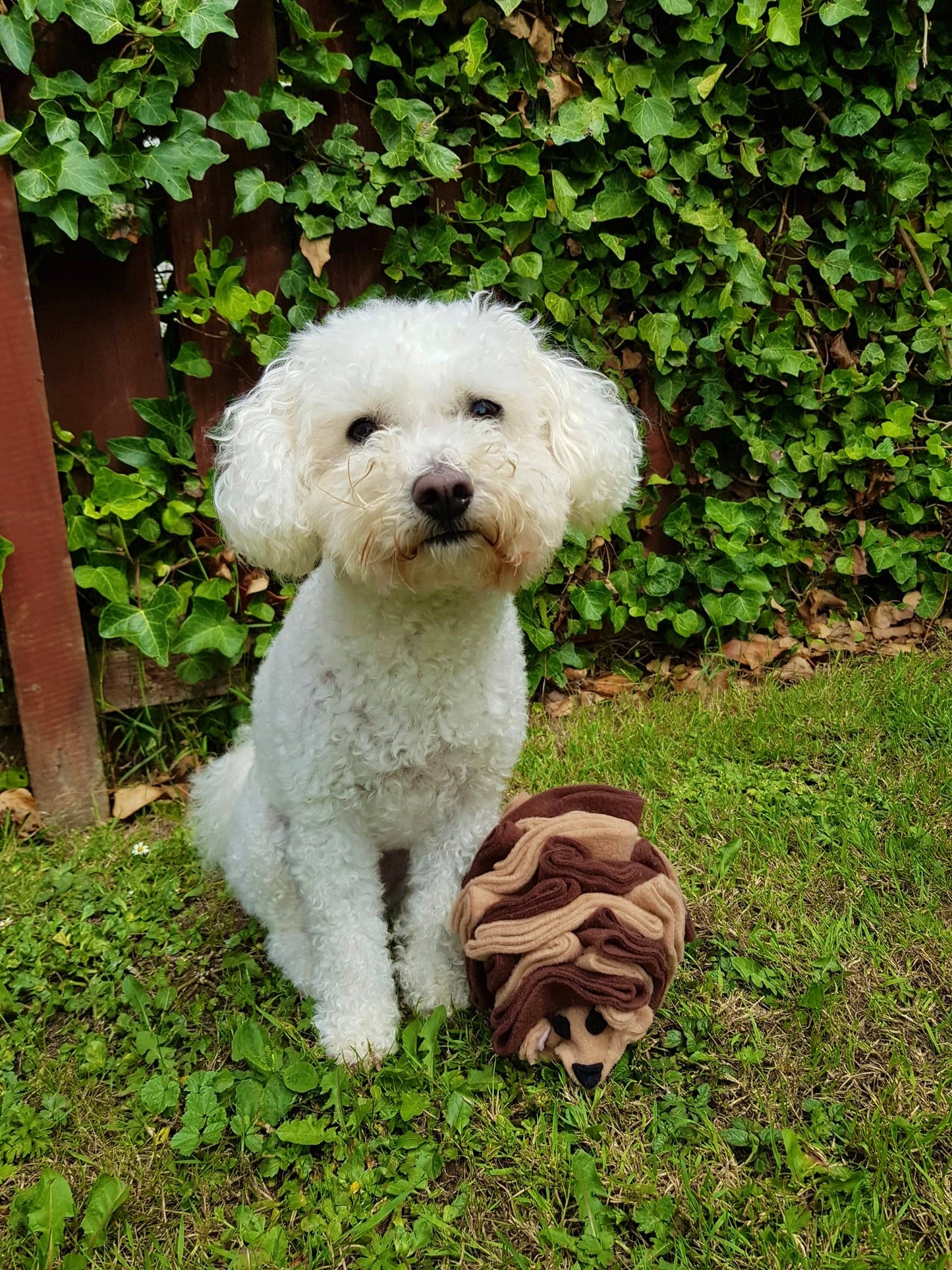 The Snuffle Hog Available In 2 Sizes