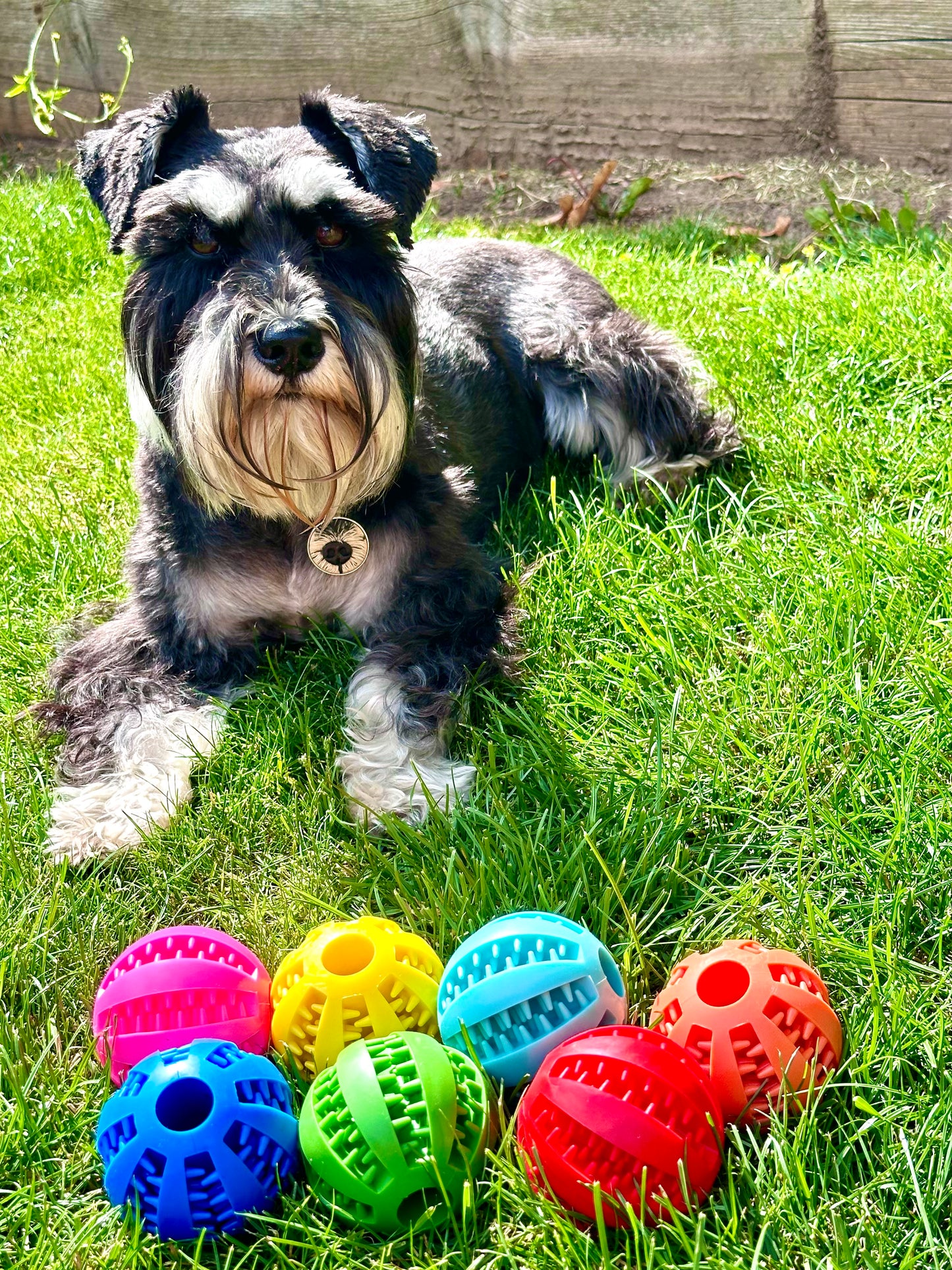 7cm Treat Ball (Free Postage)