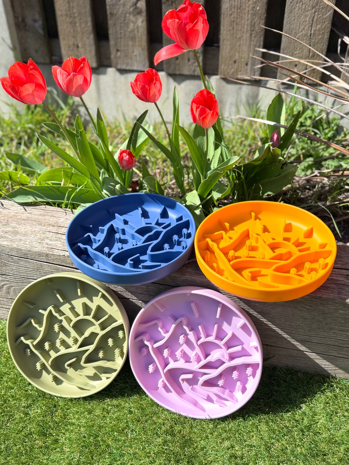 Mountain Range Enrichment Bowl (Free Postage)