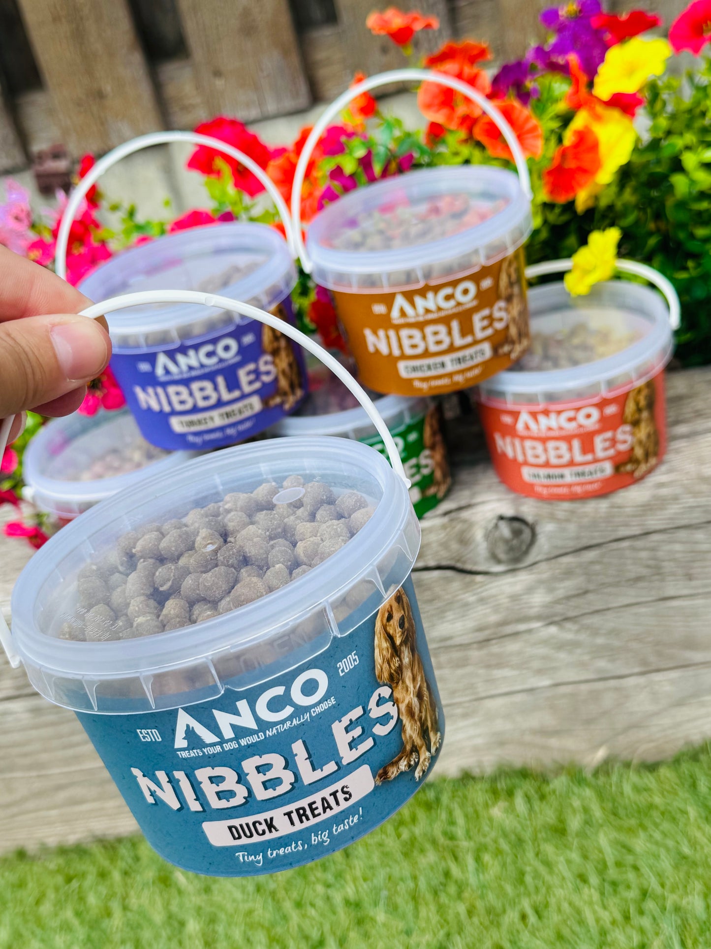 Anco Nibbles 300g Training Treat Tubs, 6 Flavours Available (Free Postage)