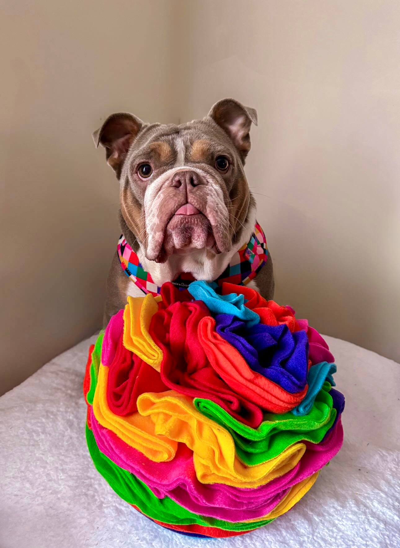 Custom Coloured Snuffle Balls available in 5 sizes (Free Postage)