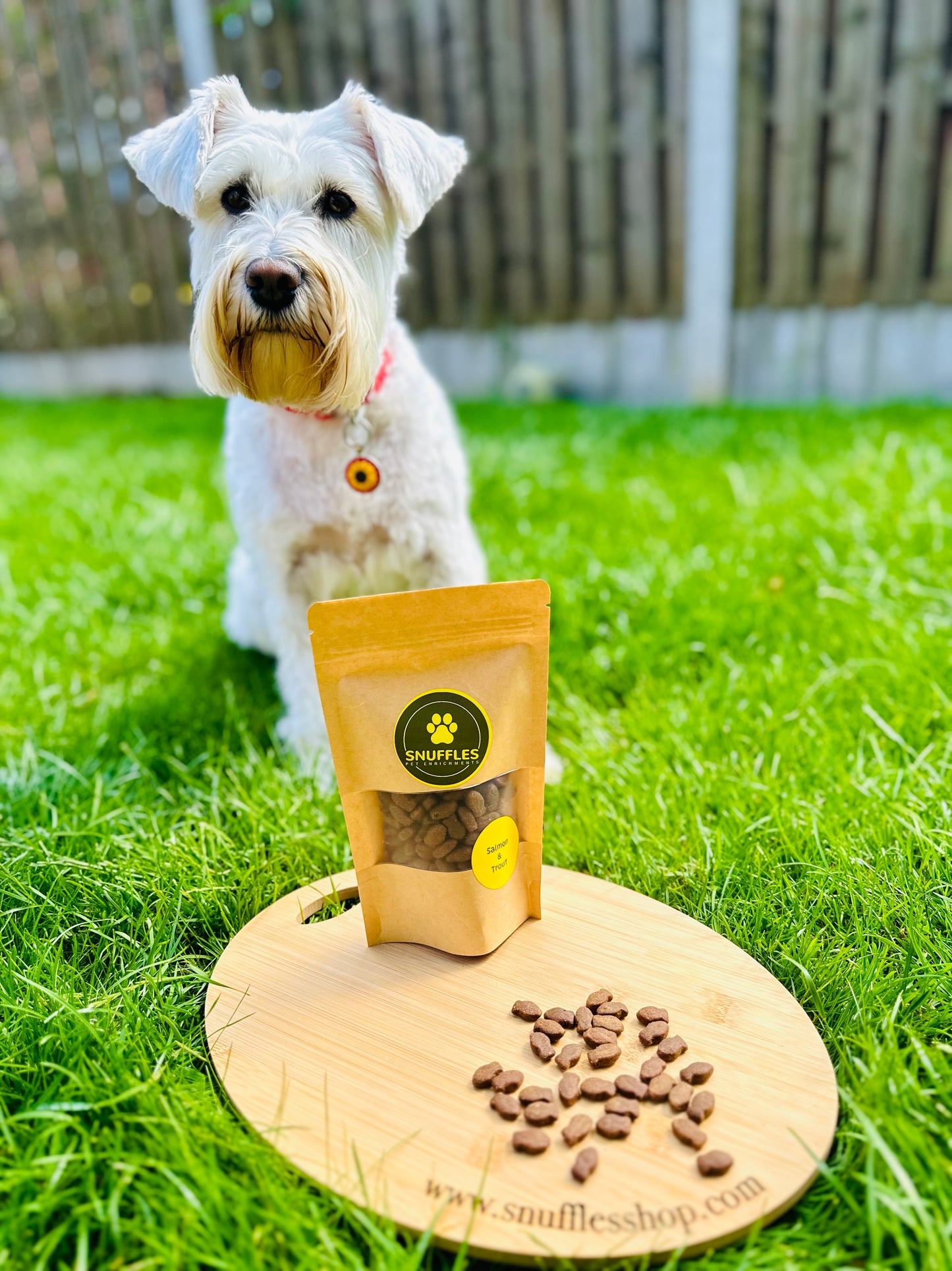 Salmon & Trout Bites ( Free Postage)