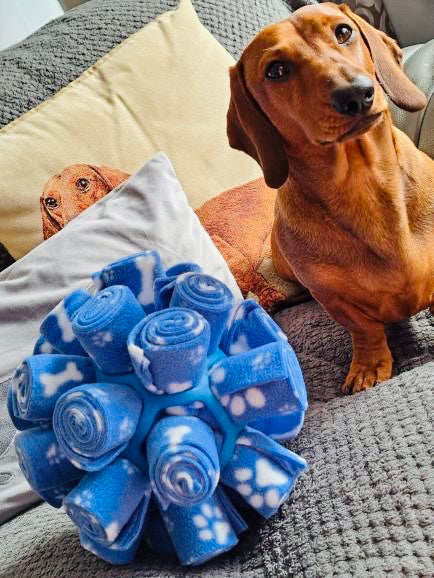 Snuffle Cage Ball (Free Postage)
