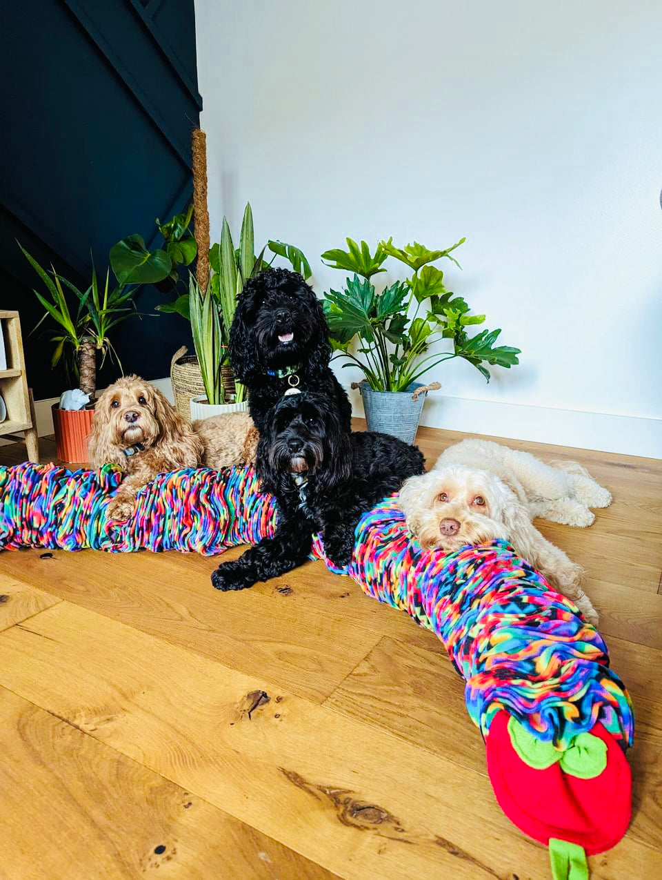 The 1.5 Metre Snuffle Anaconda (Free Postage)