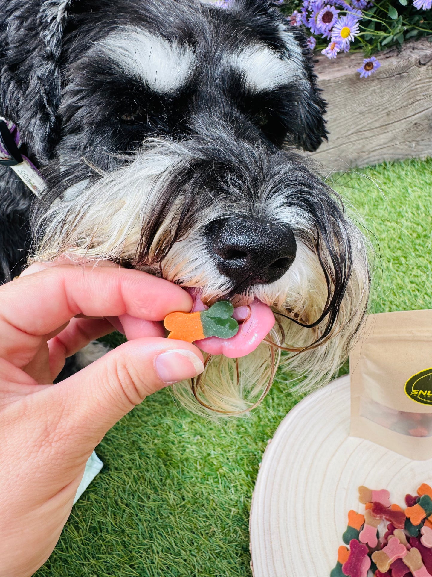 Veggie Bones ( Free Postage)