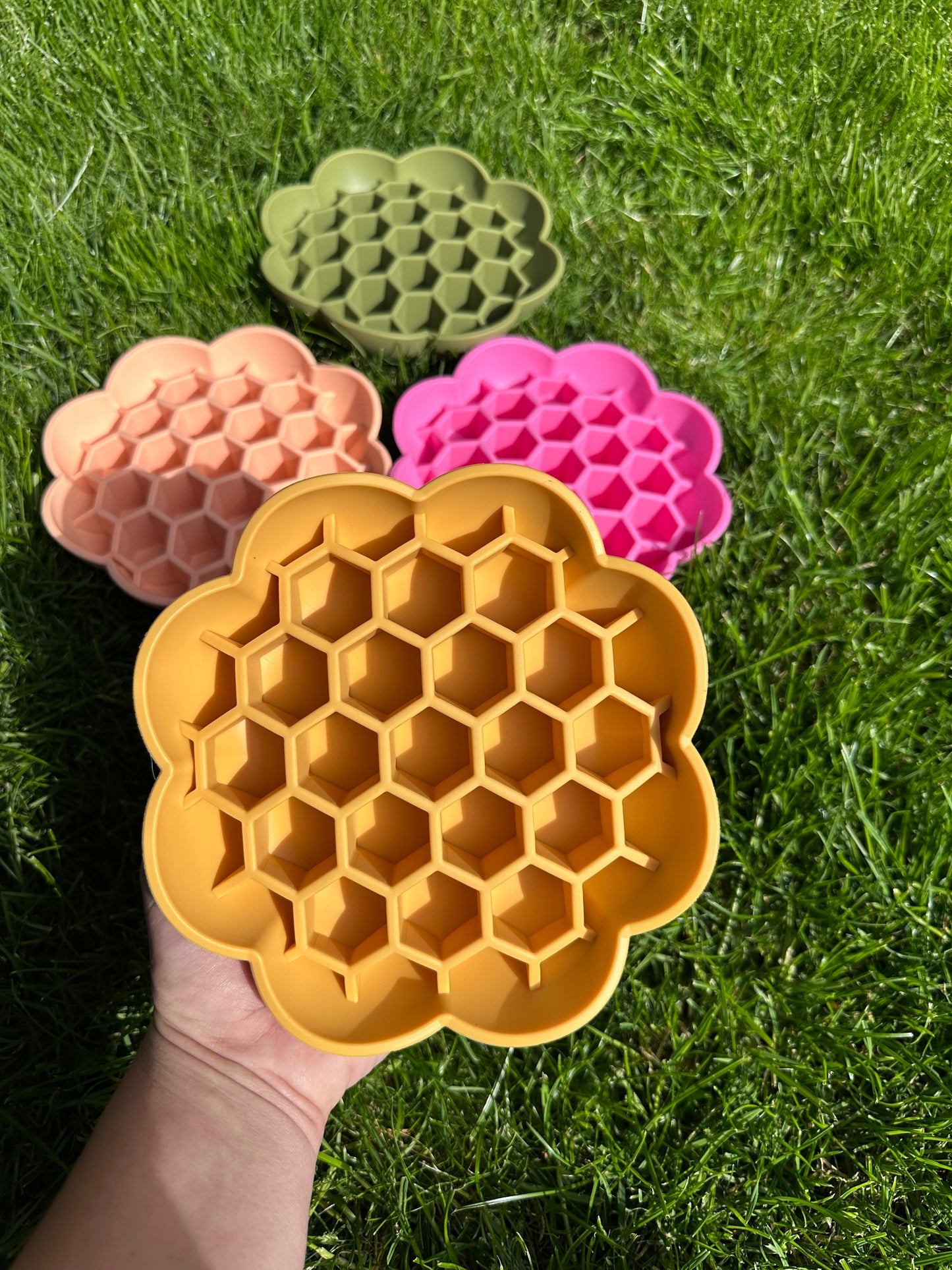Honeycomb Enrichment Bowl (Free Postage)