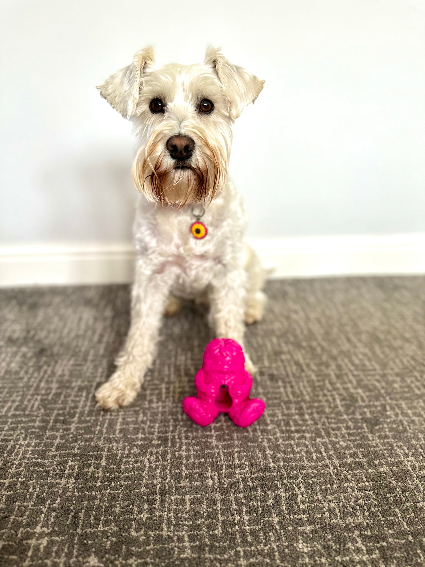 Dogsee Yeti Treat Toy, 3 colours available (Free Postage)