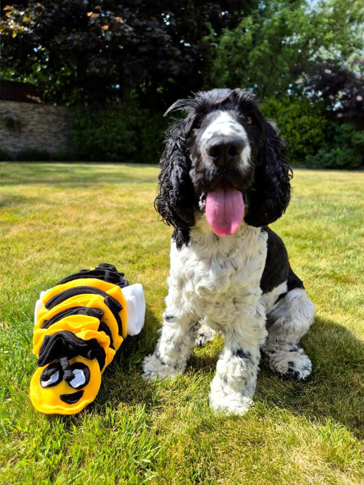 Bumble Buzzle Available In 2 Sizes (Free Postage)