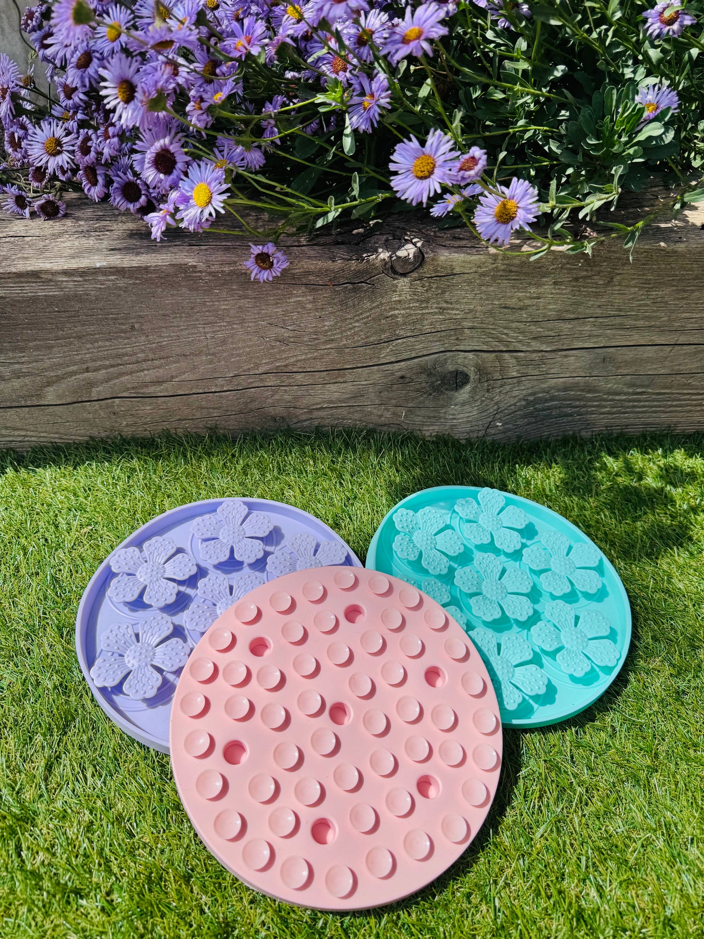 Dandy Daisy Lick Mat (Free Postage)