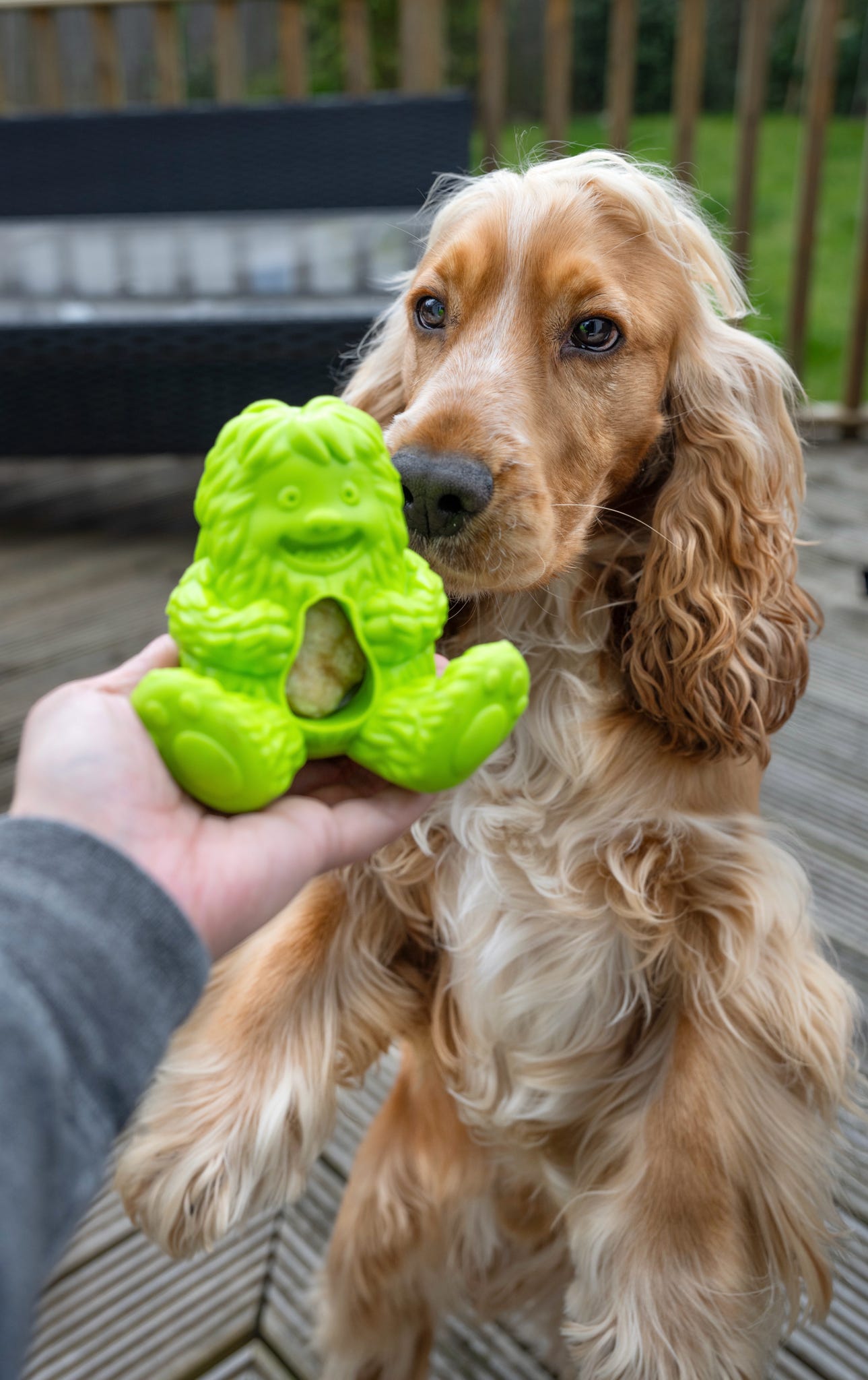 Dogsee Yeti Treat Toy, 3 colours available (Free Postage)