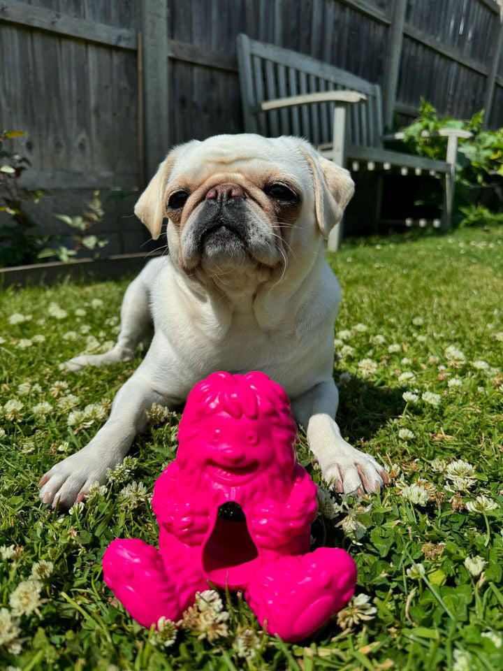 Dogsee Yeti Treat Toy, 3 colours available (Free Postage)
