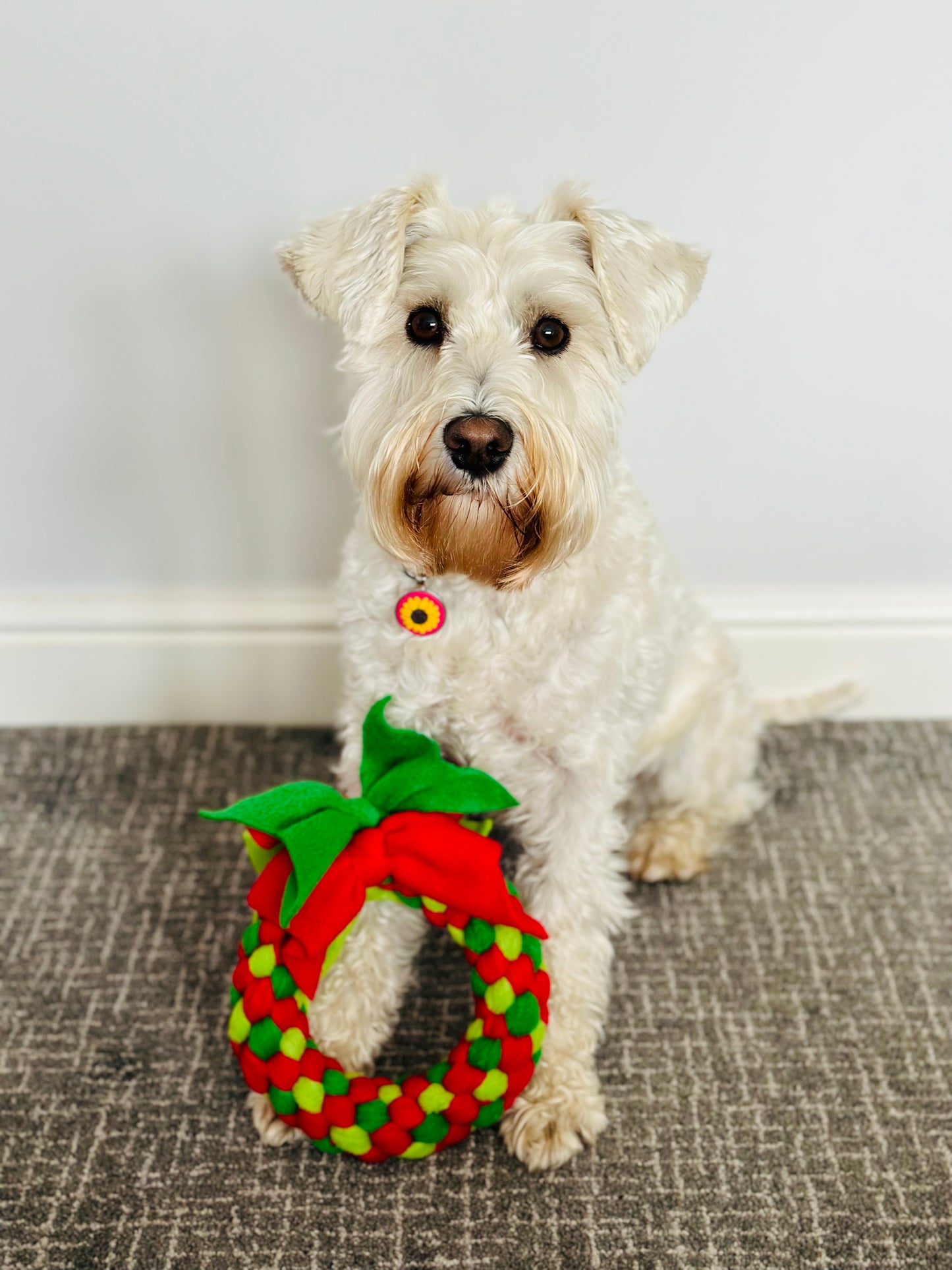 Festive Wreath Dog Tug 3 Sizes Available (Free Postage)