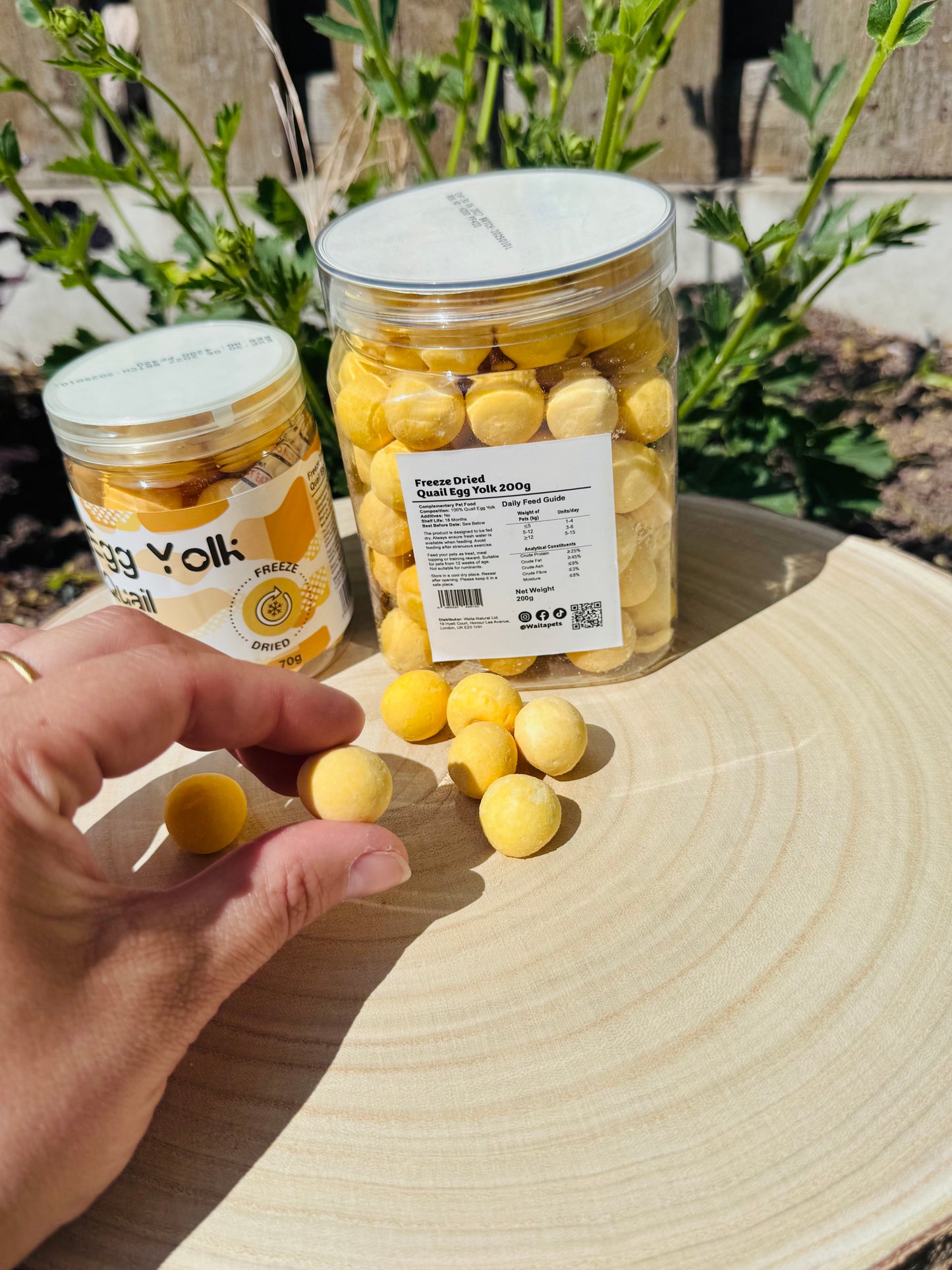 Freeze Dried Quail Egg Yolks (Free Postage)