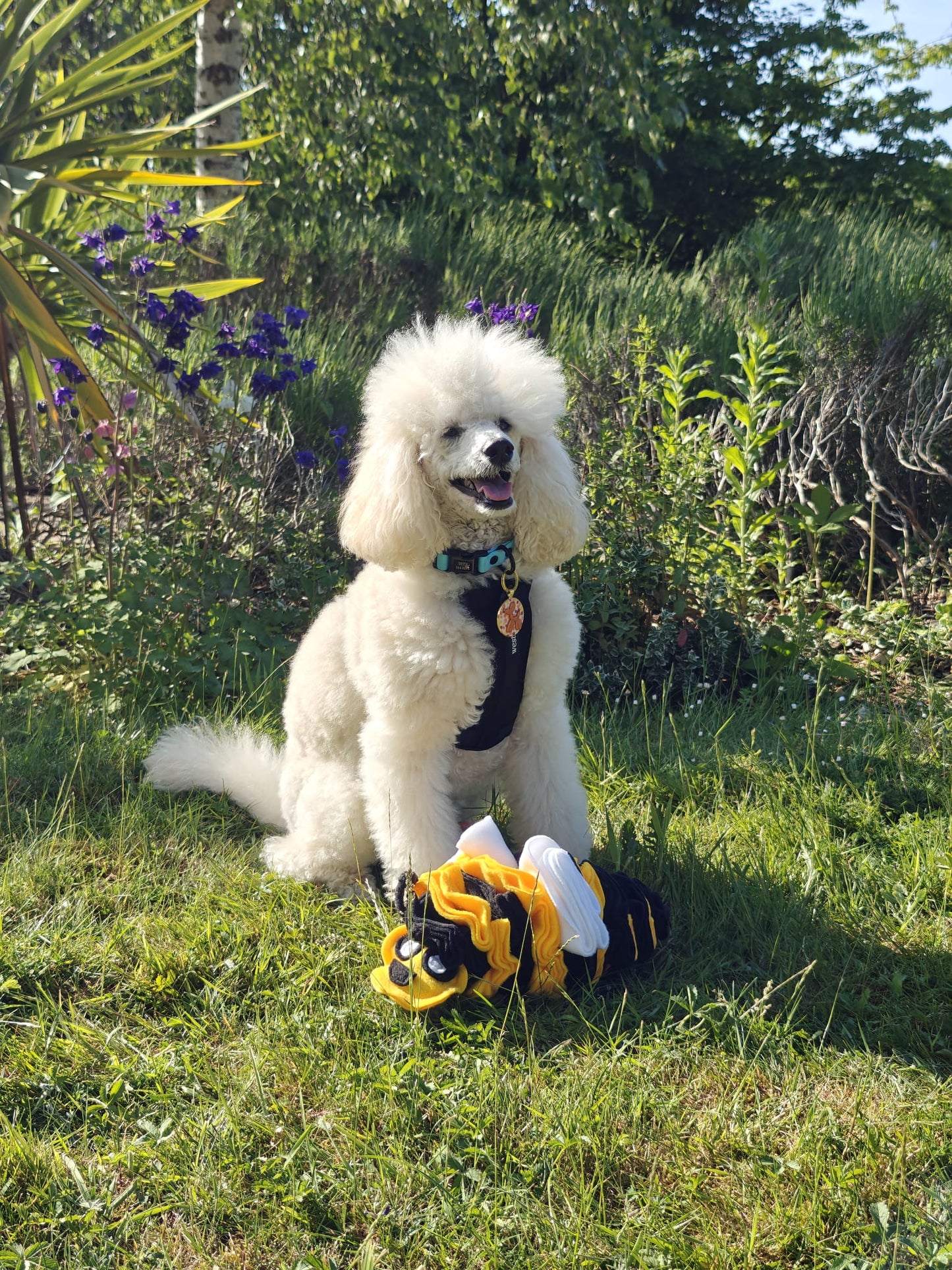 Bumble Buzzle Available In 2 Sizes (Free Postage)