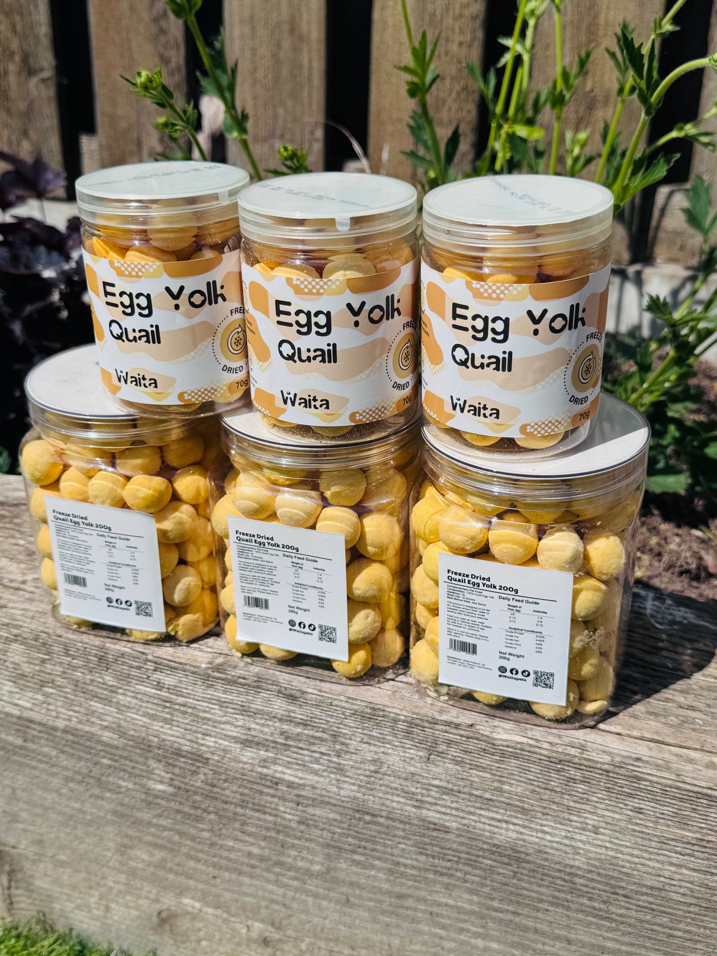 Freeze Dried Quail Egg Yolks (Free Postage)