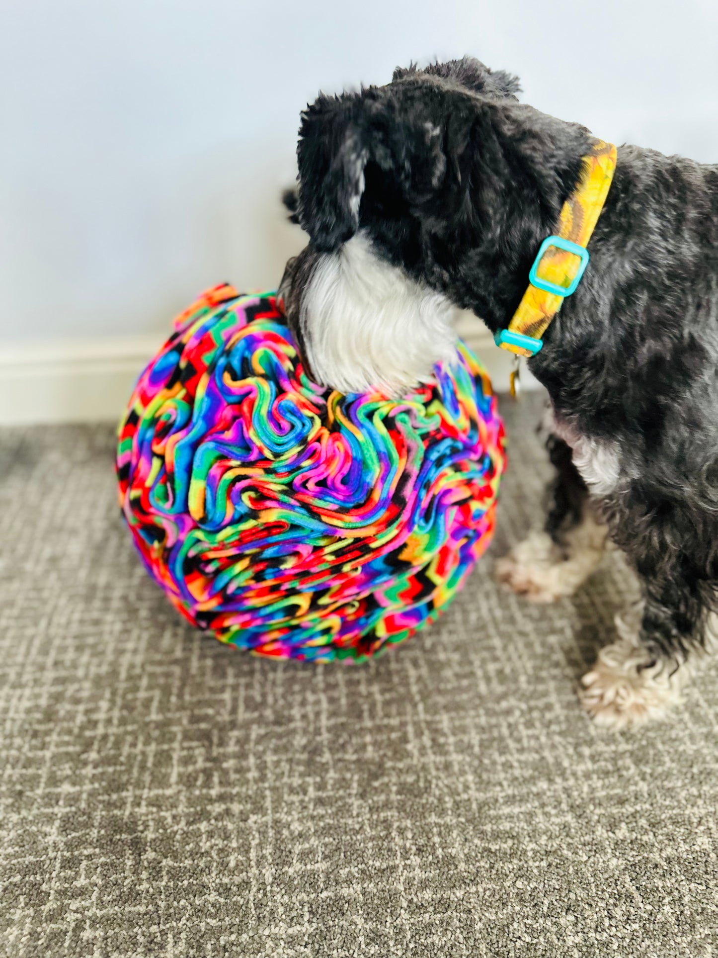 Extra Large Snuffle Ball (Free Postage)