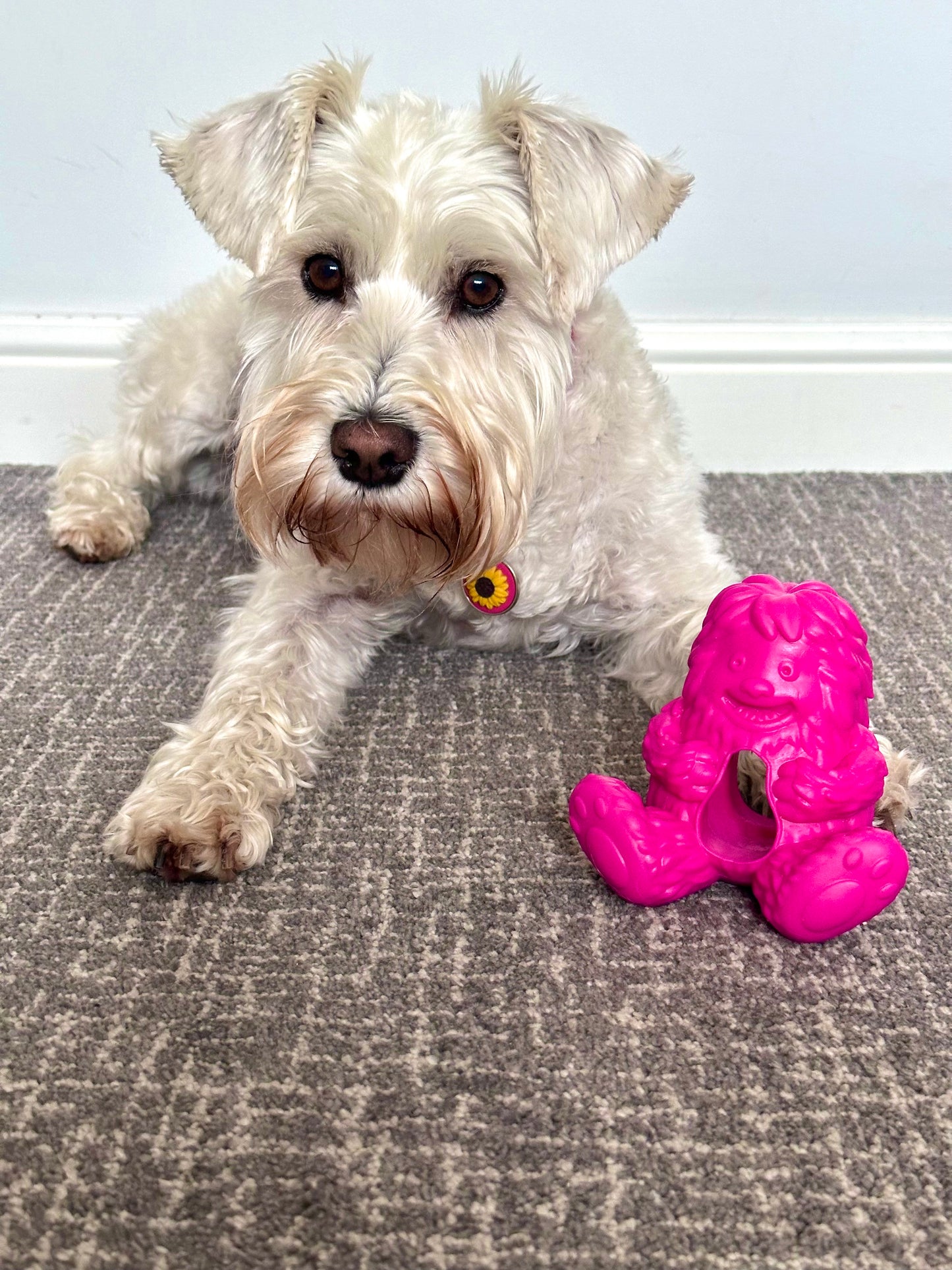 Dogsee Yeti Treat Toy, 3 colours available (Free Postage)