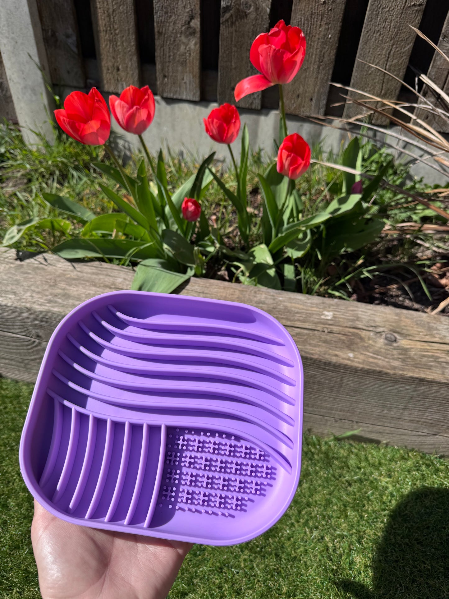 Ripple Effect Feeder Bowl (Free Postage)