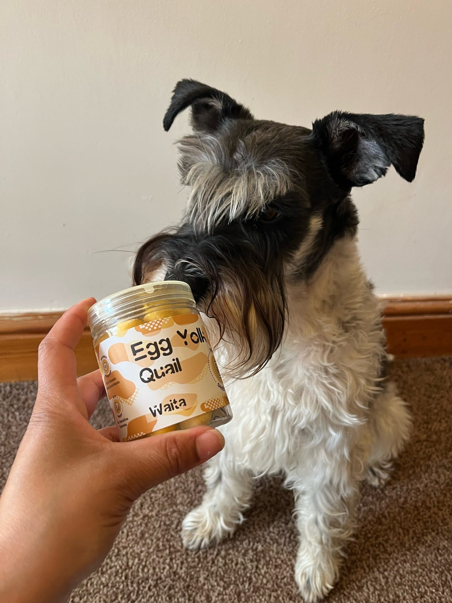 Freeze Dried Quail Egg Yolks (Free Postage)