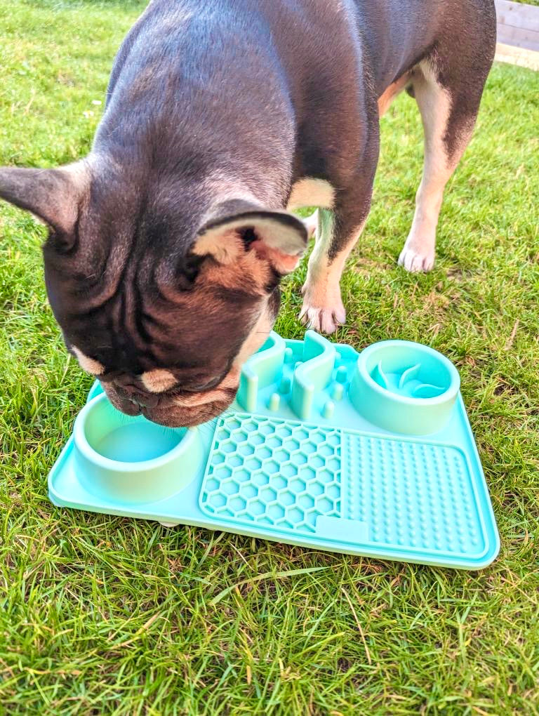 Multifunctional Lick Mat, Available In 2 Sizes (Free Postage)