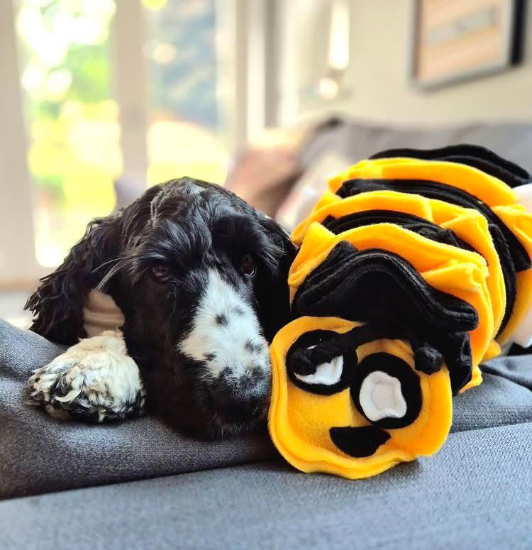 Bumble Buzzle Available In 2 Sizes (Free Postage)