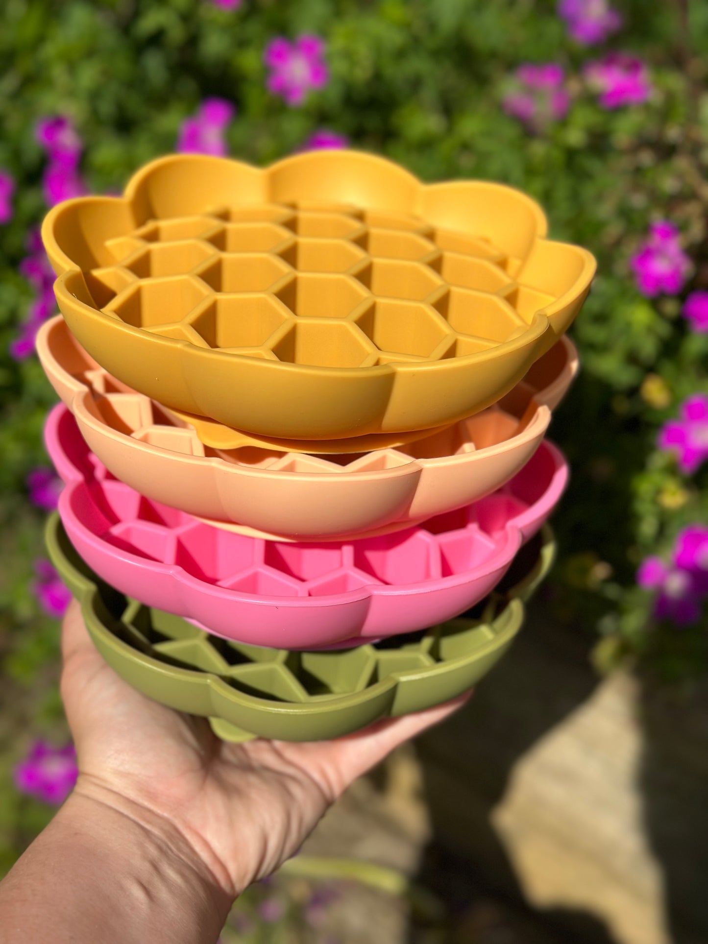 Honeycomb Enrichment Bowl (Free Postage)