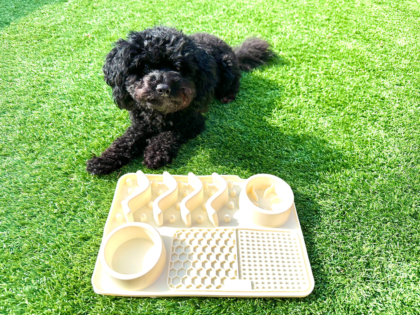 Multifunctional Lick Mat, Available In 2 Sizes (Free Postage)
