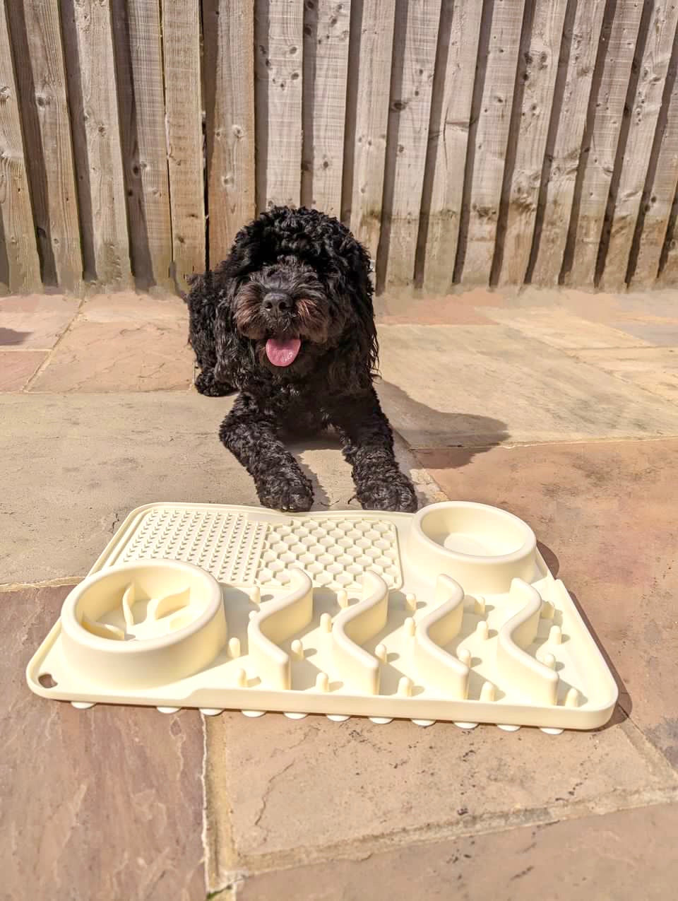 Multifunctional Lick Mat, Available In 2 Sizes (Free Postage)