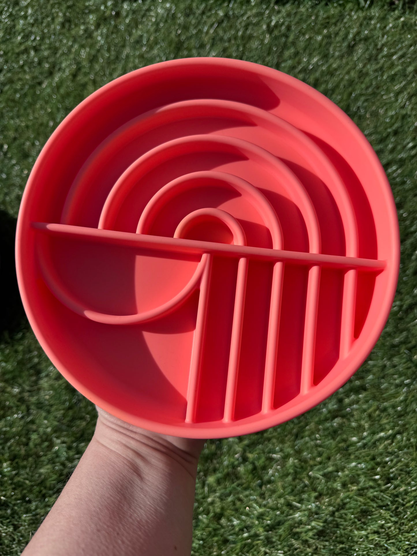 Rainbow Style Enrichment Bowl (Free Postage)