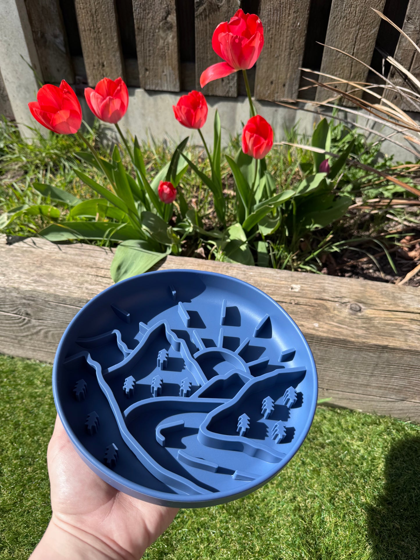 Mountain Range Enrichment Bowl (Free Postage)