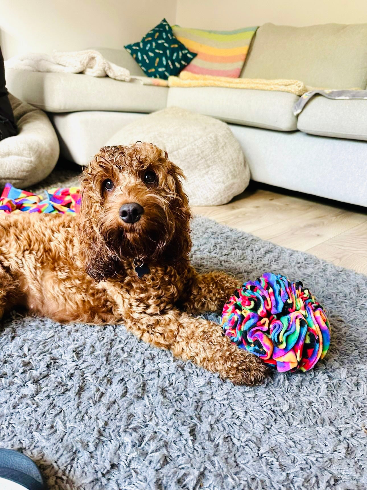 Medium Snuffle Ball (Free Postage)