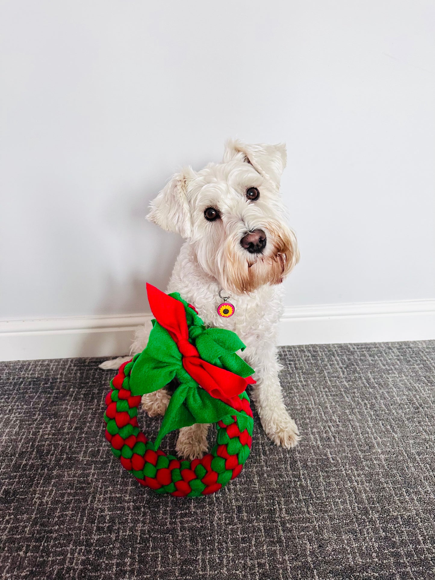 Festive Wreath Dog Tug 3 Sizes Available (Free Postage)
