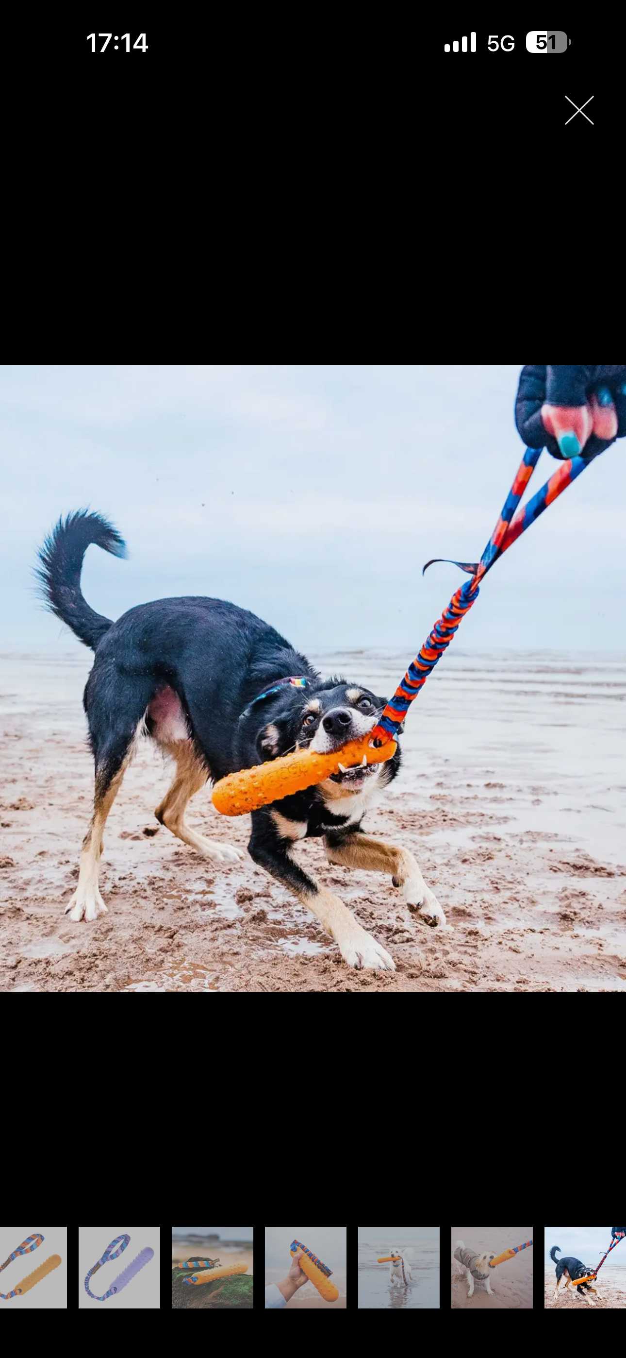BOB The Dummy 3 in 1 Fetch, Tug & Float, Tug-E-Nuff Range