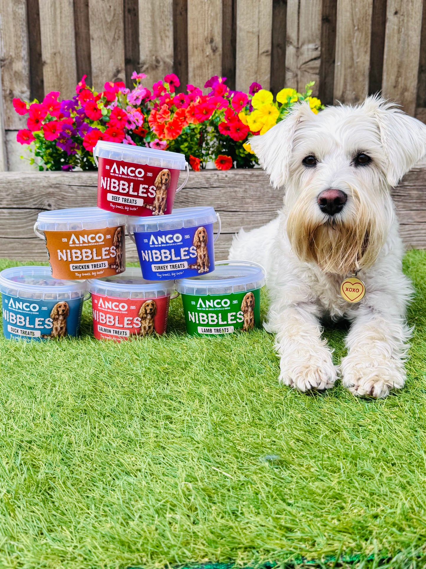 Anco Nibbles 300g Training Treat Tubs, 6 Flavours Available (Free Postage)