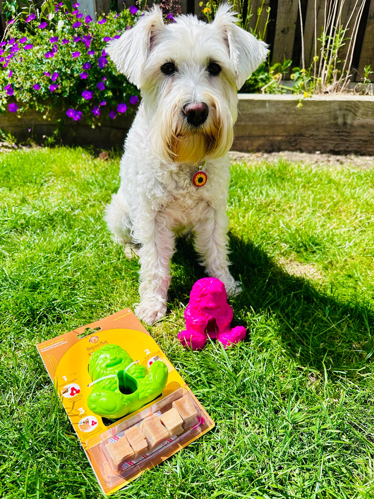 Dogsee Yeti Treat Toy, 3 colours available (Free Postage)