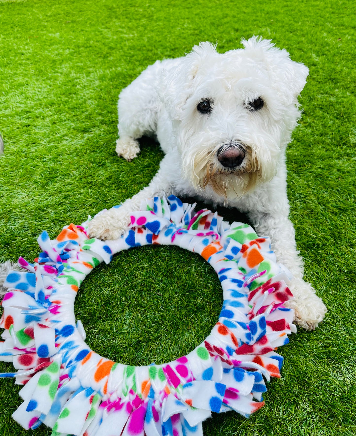 Fleece Frisbees (Free Postage)